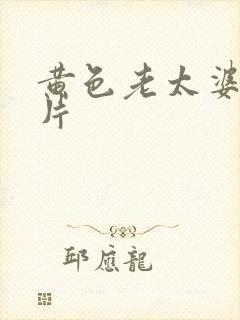 黄色老太婆一级片封面