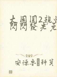 大团圆2亲情会闪闪发光免费