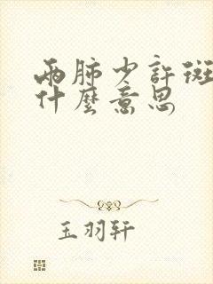 两肺少许斑点影什么意思