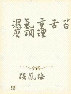 湿气重舌苔白怎么调理封面