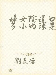 妇女阴道口有很多小肉球是怎么回事