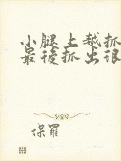 小腿上越抓越痒最后抓出很多小疙瘩