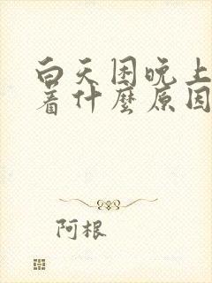 白天困晚上睡不着什么原因