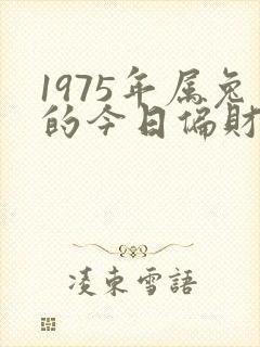 1975年属兔的今日偏财运封面