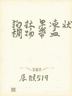 狗拉果冻状的粘稠物带血