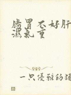 肠胃不好肝火旺湿气重