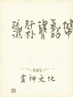 疏肝理气健脾祛湿补肾的中成药封面