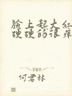 脸上起大红疙瘩硬硬的很痒封面