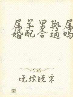 属羊男与属猴女婚配合适吗