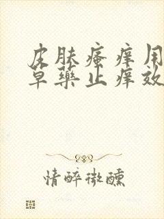 皮肤瘙痒用什么草药止痒效果最好封面