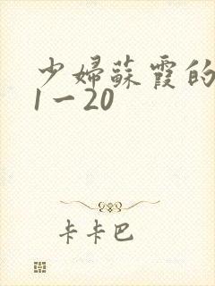 少妇苏霞的沉沦1一20