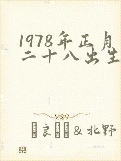 1978年正月二十八出生的人命运怎样封面