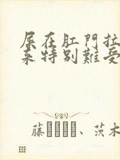 屎在肛门拉不出来特别难受怎么办