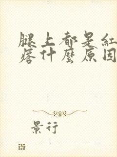 腿上都是红色疙瘩什么原因