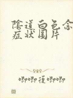 阴道白色念珠菌症状图片