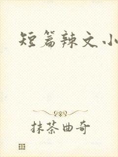 短篇辣文小说