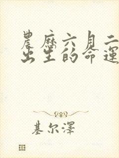 农历六月二十九出生的命运封面