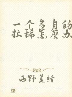 一个多月的泰迪拉稀怎么办