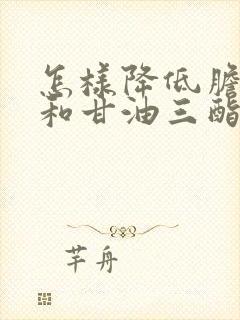 怎样降低胆固醇和甘油三酯封面