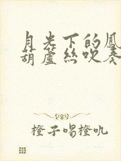 月光下的凤尾竹葫芦丝吹奏降b调封面