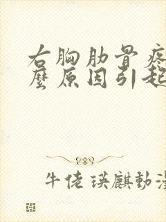 右胸肋骨疼是什么原因引起的