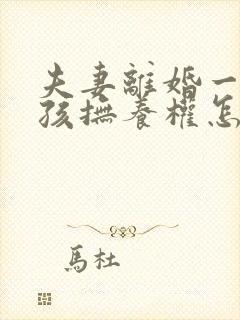 夫妻离婚一个小孩抚养权怎么判