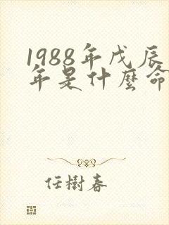 1988年戊辰年是什么命封面