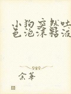 小狗突然吐了白色泡沫粘液