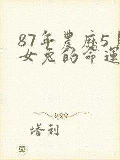 87年农历5月女兔的命运
