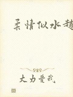 柔情似水赵雅儿