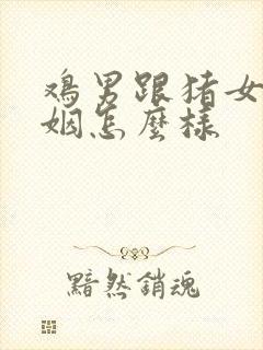 鸡男跟猪女的婚姻怎么样封面