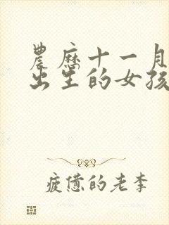 农历十一月初一出生的女孩命运