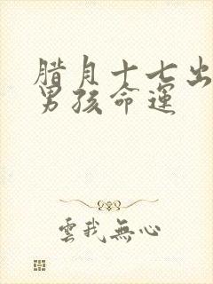 腊月十七出生的男孩命运封面