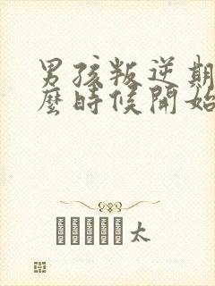 男孩叛逆期是什么时候开始封面