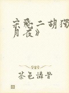 宋飞二胡独奏《月夜》封面