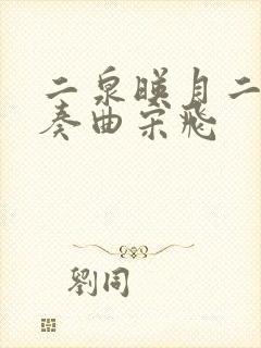 二泉映月二胡独奏曲宋飞