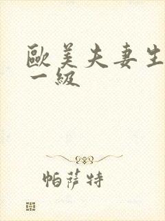 欧美夫妻生活片一级