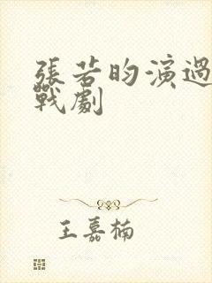 张若昀演过的谍战剧