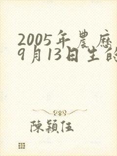 2005年农历9月13日生的命运
