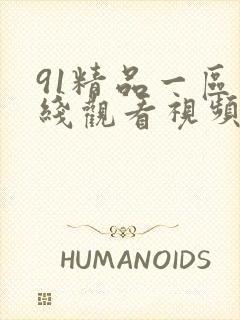 91精品一区在线观看视频