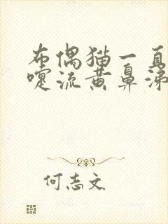 布偶猫一直打喷嚏流黄鼻涕怎么回事