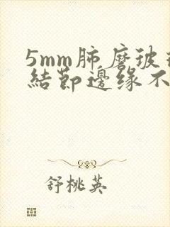 5mm肺磨玻璃结节边缘不清