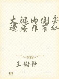 大腿内侧睾丸旁边瘙痒有红疙瘩用药