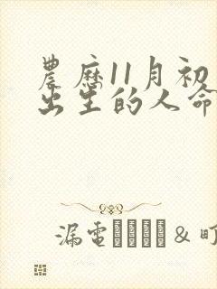 农历11月初三出生的人命运