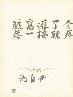 腋窝涨了个小疙瘩一按就疼要紧吗封面