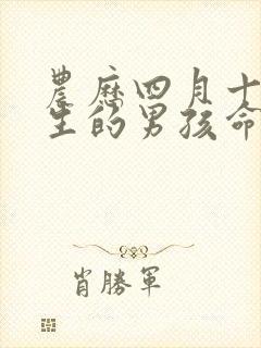 农历四月十四出生的男孩命运封面