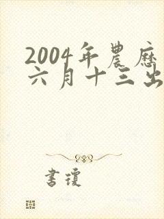 2004年农历六月十三出生命运