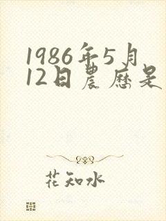 1986年5月12日农历是什么命