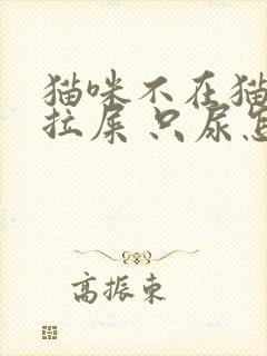 猫咪不在猫砂盆拉屎 只尿怎么办