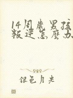 14周岁男孩很叛逆怎么办封面